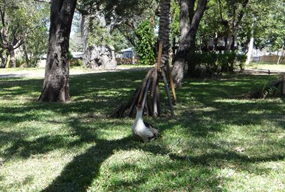 nanchengwa_camping_2